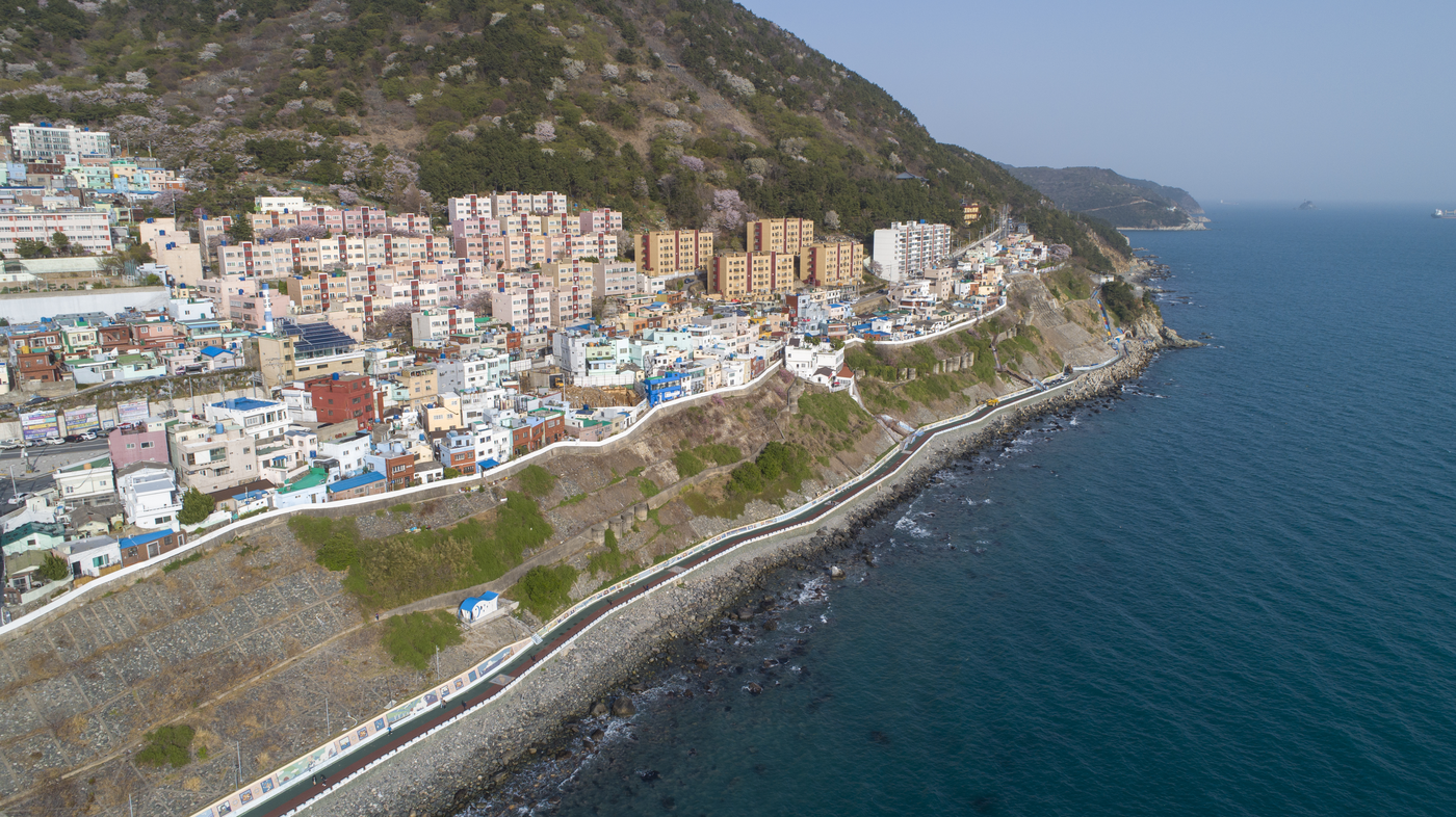 白浅滩海岸线